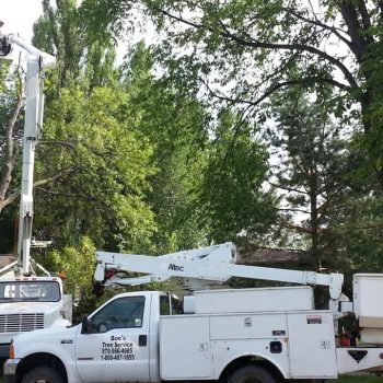 10557423_1770276903196870_6263290831175917331_n