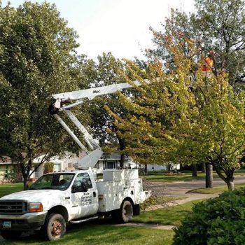 12036833_1894555630768996_5114297415728954317_n