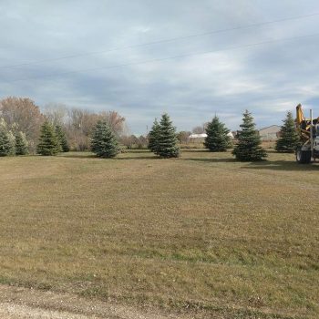 FB_IMG_1585834011975