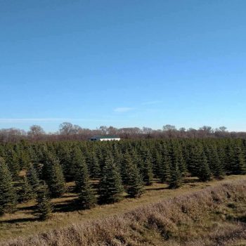 IMG_20161109_143008596