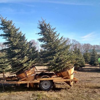 IMG_20161111_130958724_HDR