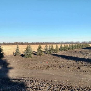 IMG_20161112_152914128_HDR